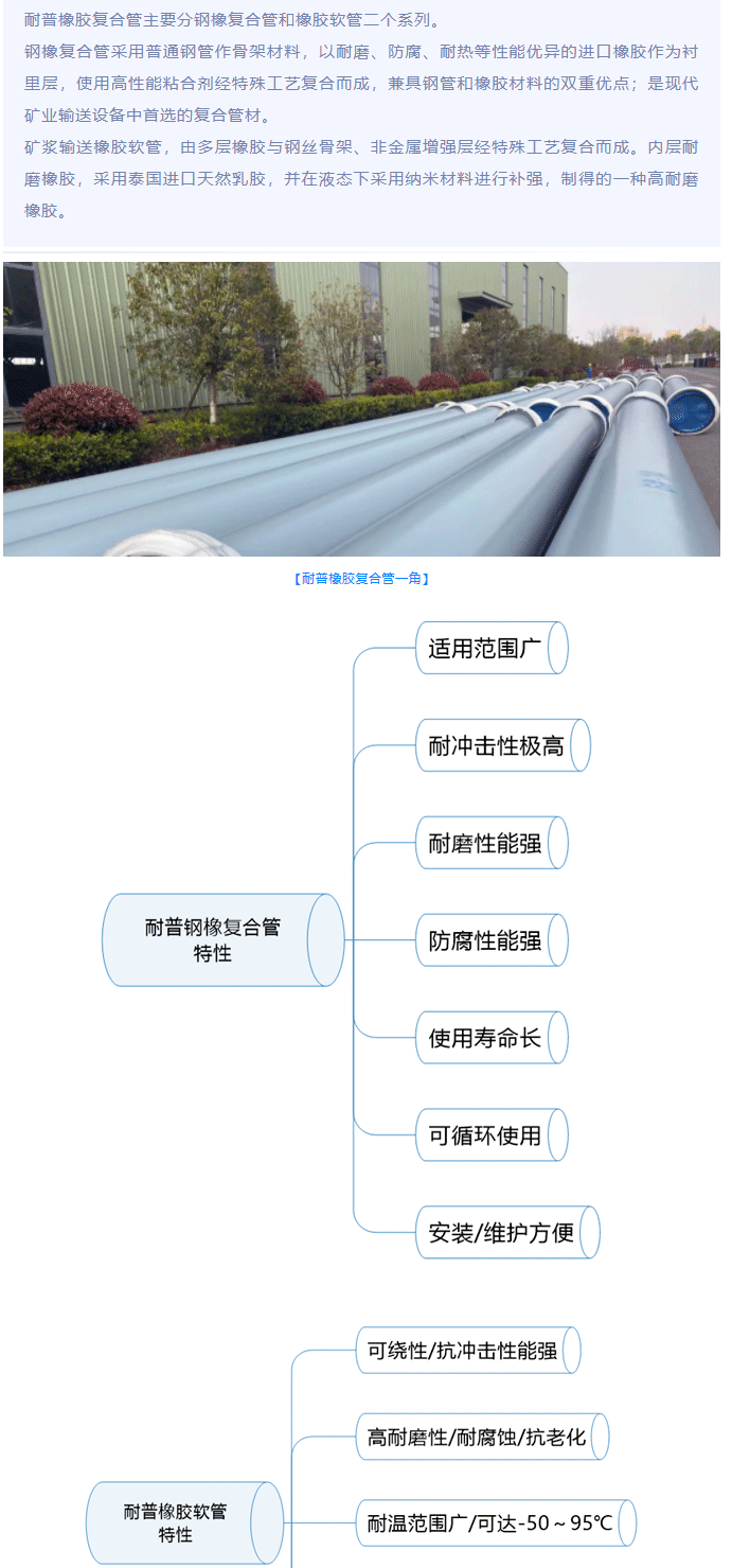 ����֮��(8590���ٷ���֤)��¼���