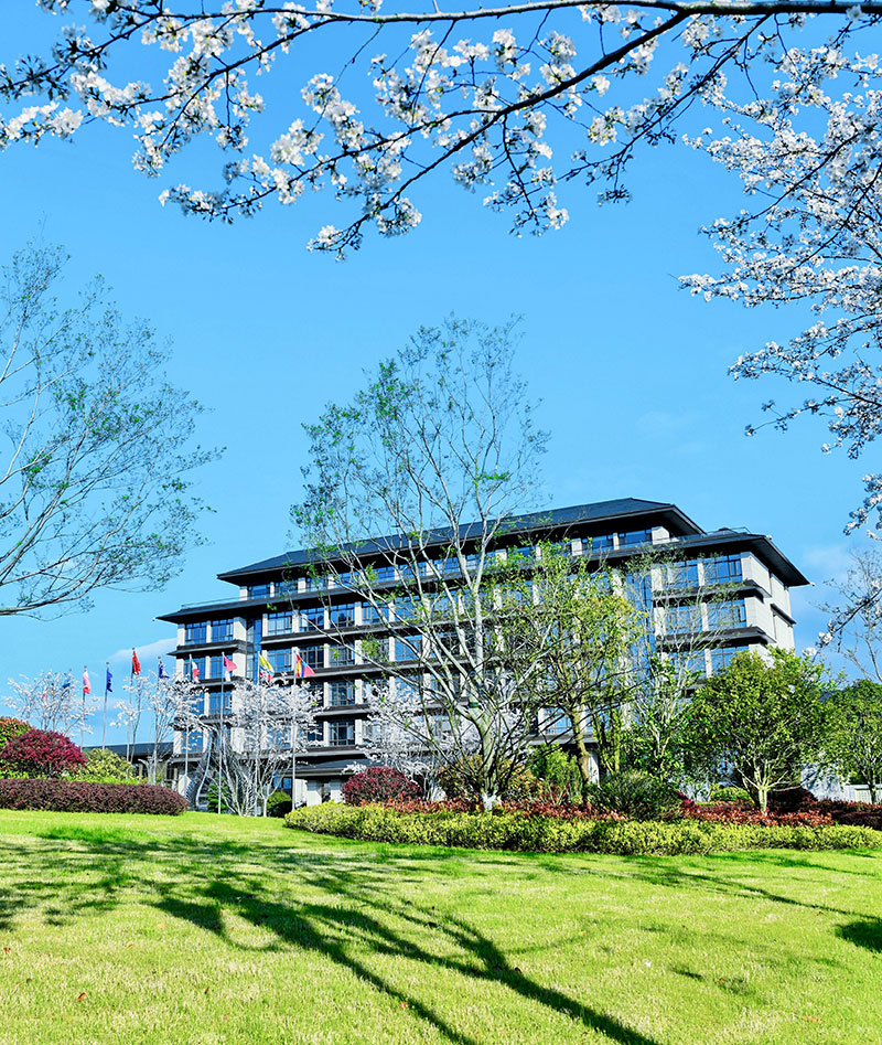 海洋之神(8590·官方认证)登录入口