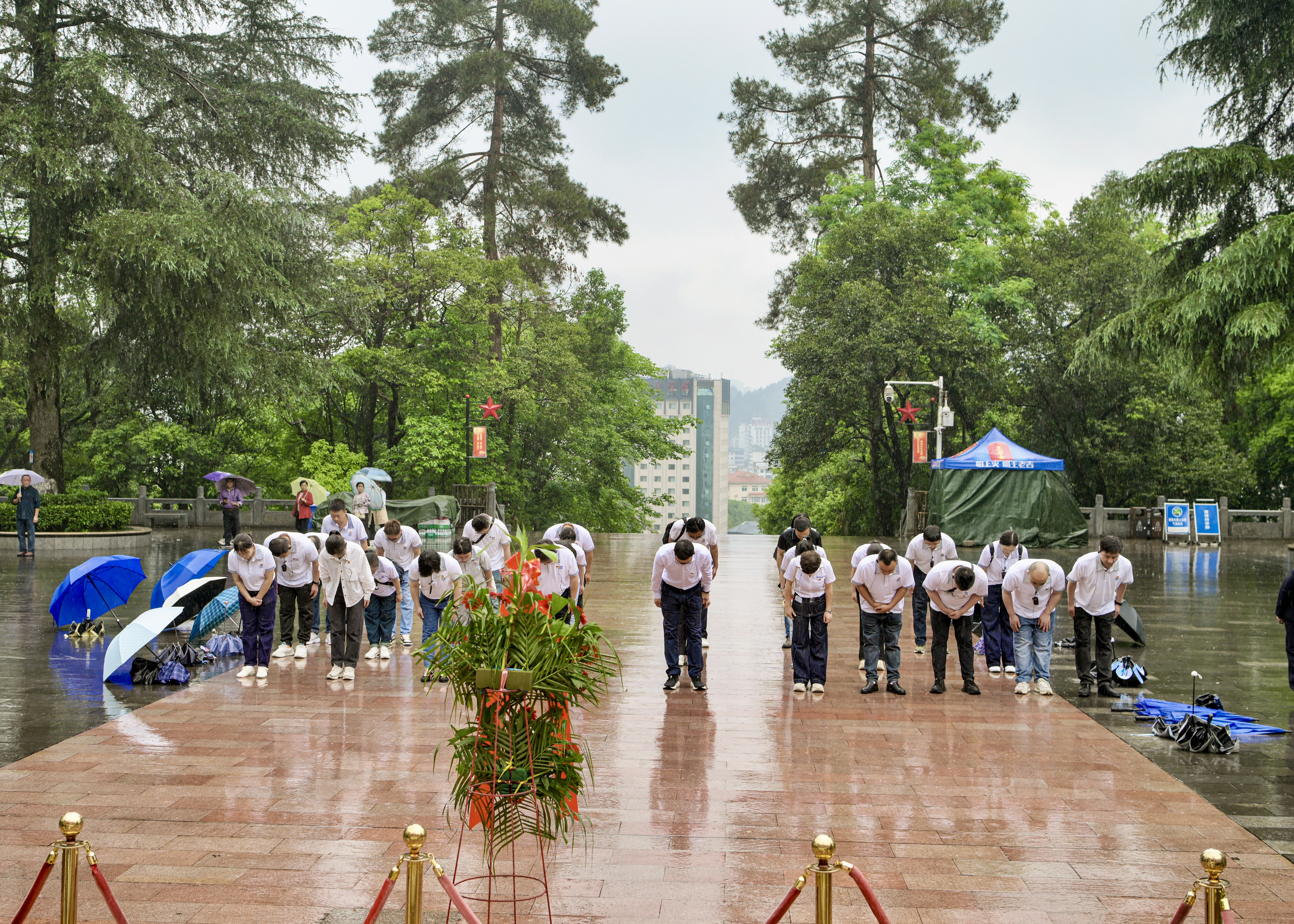 海洋之神(8590·官方认证)登录入口